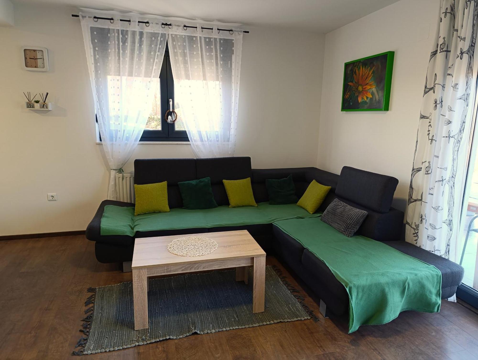 Kraljeva Hiza - Apartmani I Sobe Kralj Sveti Martin Na Muri Exterior foto